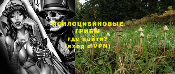 бошки Вязьма