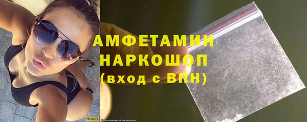 гидра Вяземский