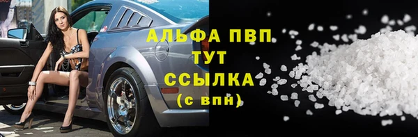 гидра Вяземский