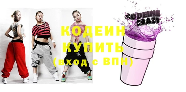гидра Вяземский
