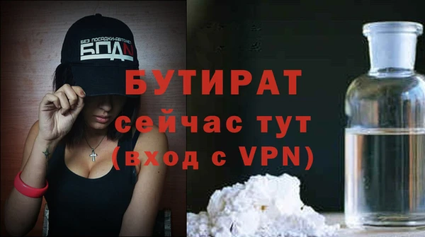 гидра Вяземский