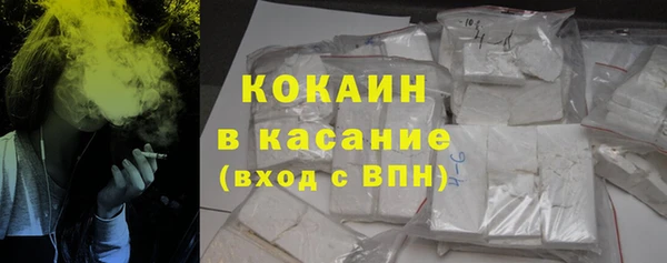 гидра Вяземский