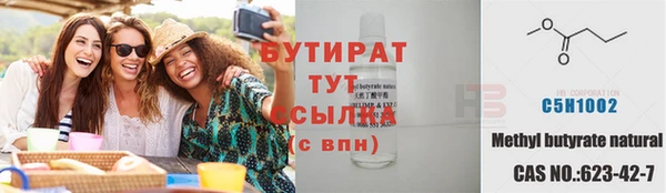 гидра Вяземский