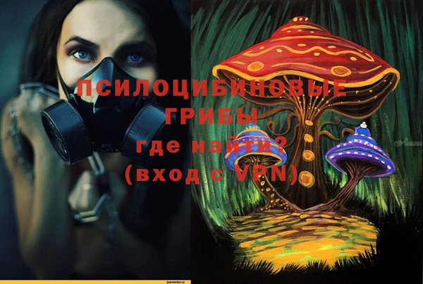 бошки Вязьма