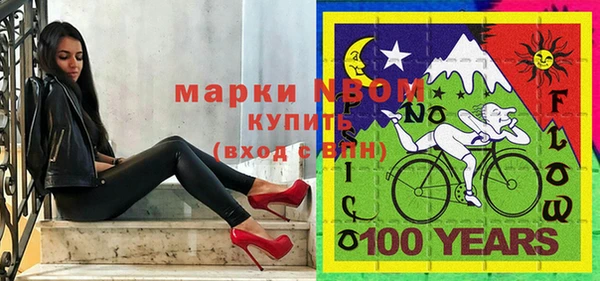 гидра Вяземский