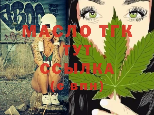 гидра Вяземский