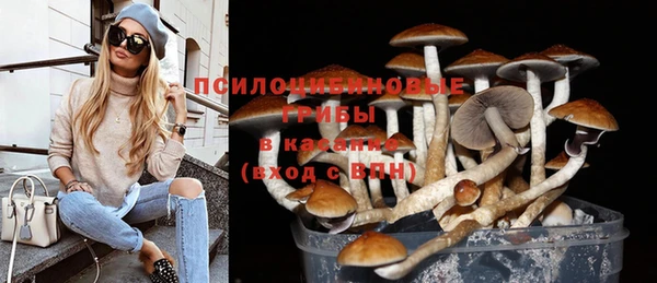 бошки Вязьма