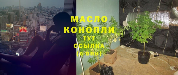гидра Вяземский