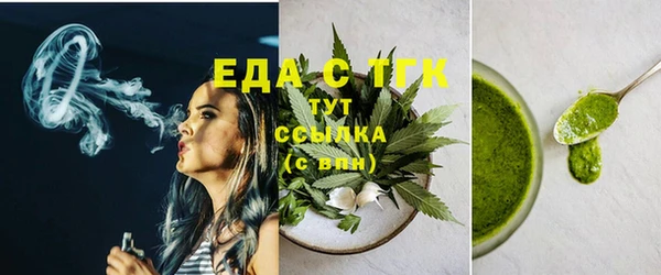 гидра Вяземский